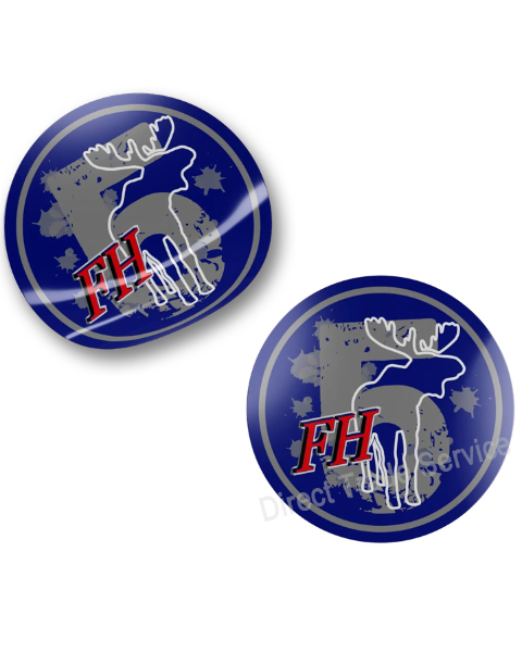 Door step sticker set FH5